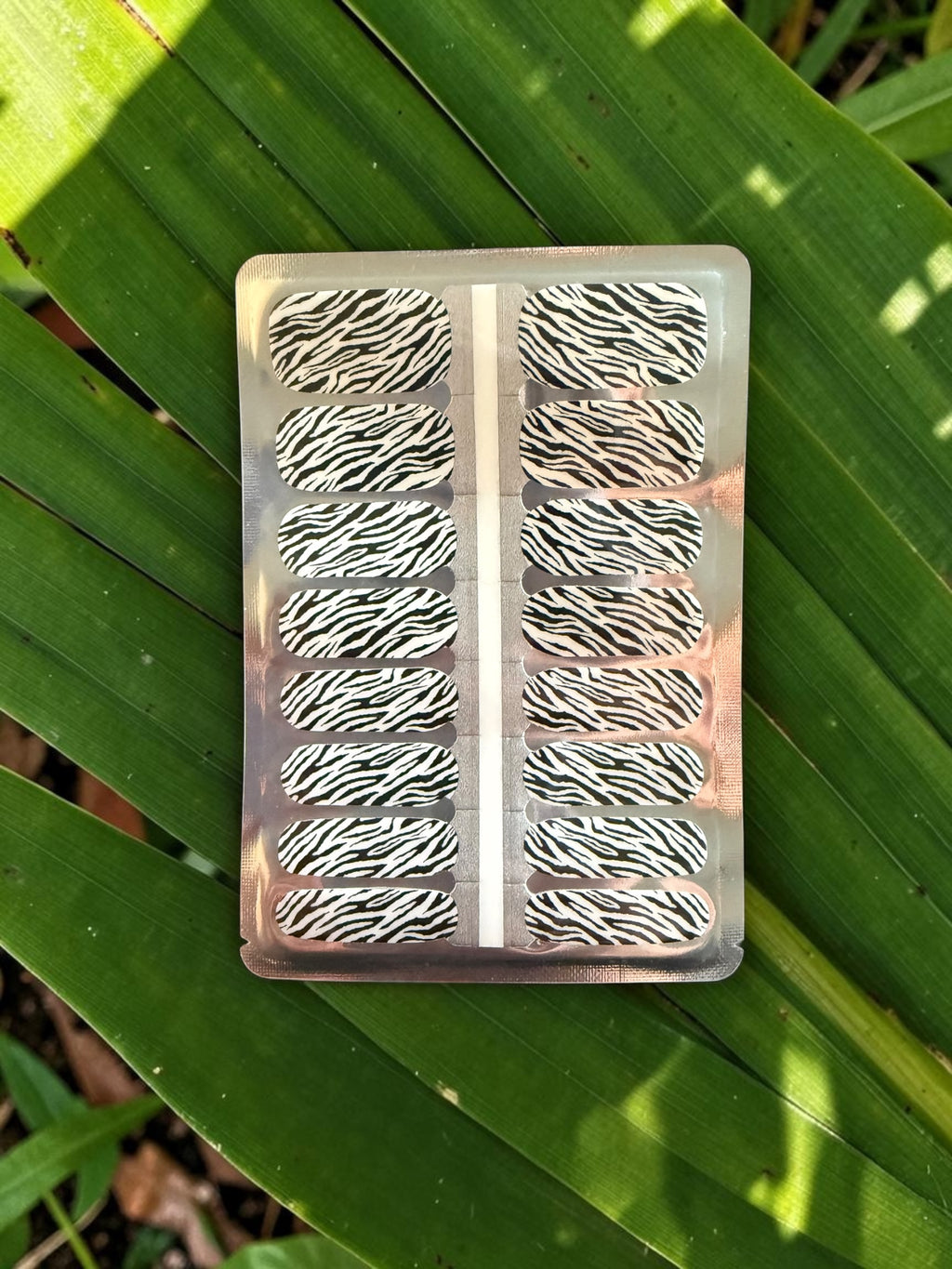 Striped Chaos